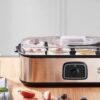 Máy làm sữa chua LBL9139 (1)